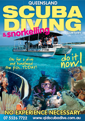 Introductory Scuba Dive & Snorkel